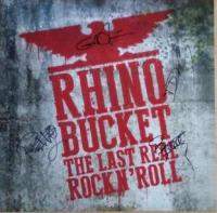 Виниловая пластинка BUCKET RHINO / THE LAST REAL ROCK N ROLL (1LP)